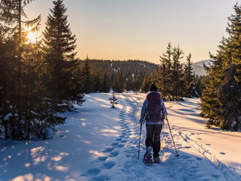 Femme en raquettes dans la forêt