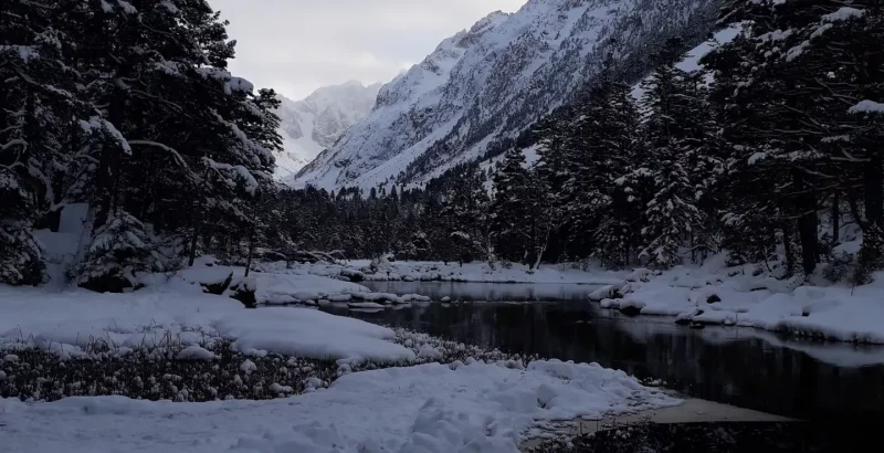 Lac des Huats enneigé dans la vallée de Gaube avec Pins sylvestres recouverts de neige