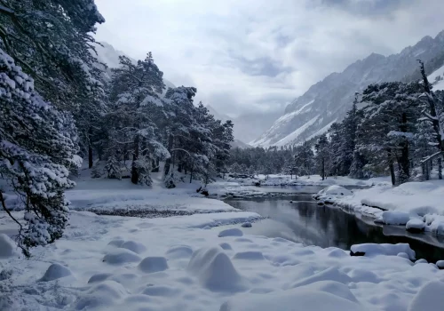 Lac des Huats enneigé dans la vallée de Gaube avec Pins sylvestres recouverts de neige