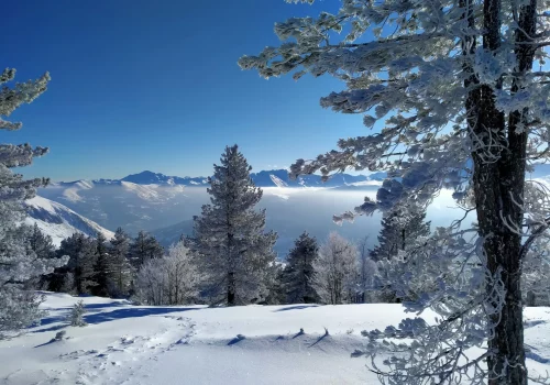 Forêt enneigée avec un ciel bleu et une trace dans la neige fraîche Val d'Azun