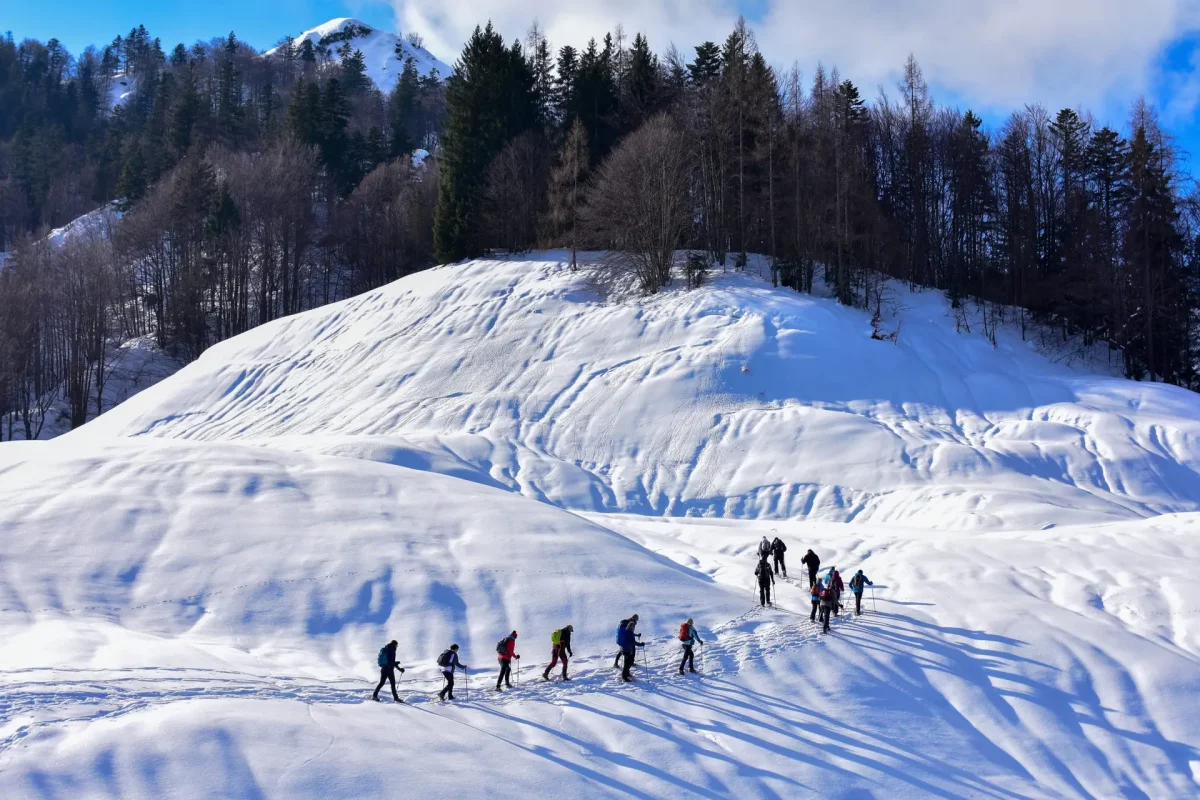 Groupe de raquettistes descendant au milieu d'un vallon blanc avec une forêt au-dessus